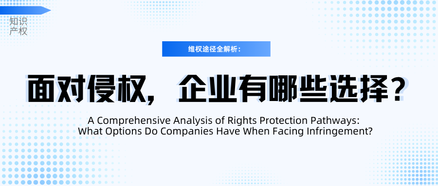 A Comprehensive Analysis of Rights Protection Pathways: What Options Do Companies Have When Facing Infringement?